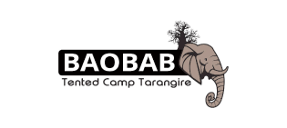 Baobab